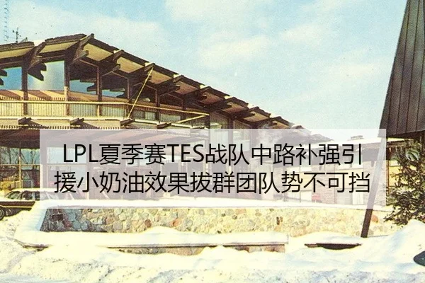 LPL夏季赛TES战队中路补强引援小奶油效果拔群团队势不可挡