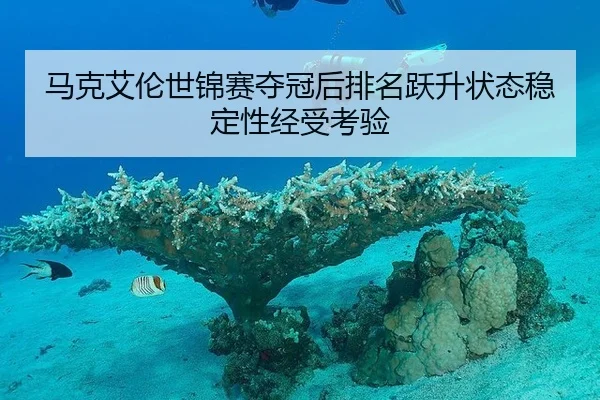 ma-ke-ai-lun-shi-jin-sai-duo-guan-hou-pai-ming-yue-sheng-zhuang-tai-wen-ding-xing-jing-shou-kao-yan-3-550.jpg
