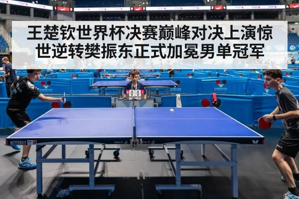 ping pong match action
