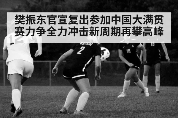 樊振东官宣复出参加中国大满贯赛力争全力冲击新周期再攀高峰